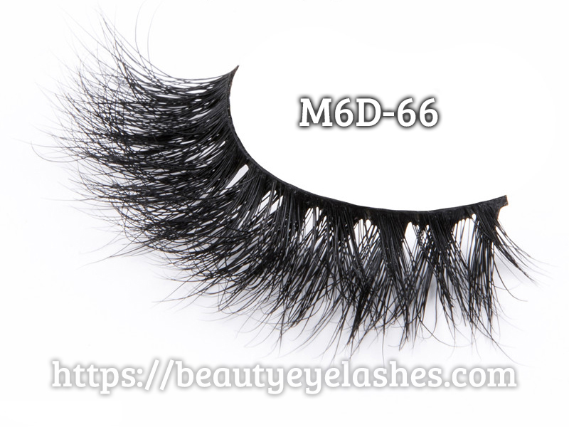 M6D 66